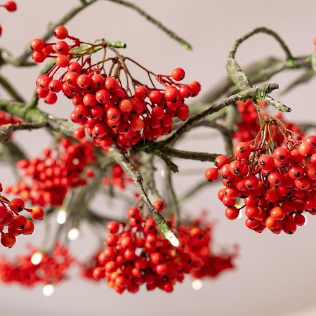 אולומוץ Herbarium Boutique Hotel מראה חיצוני תמונה