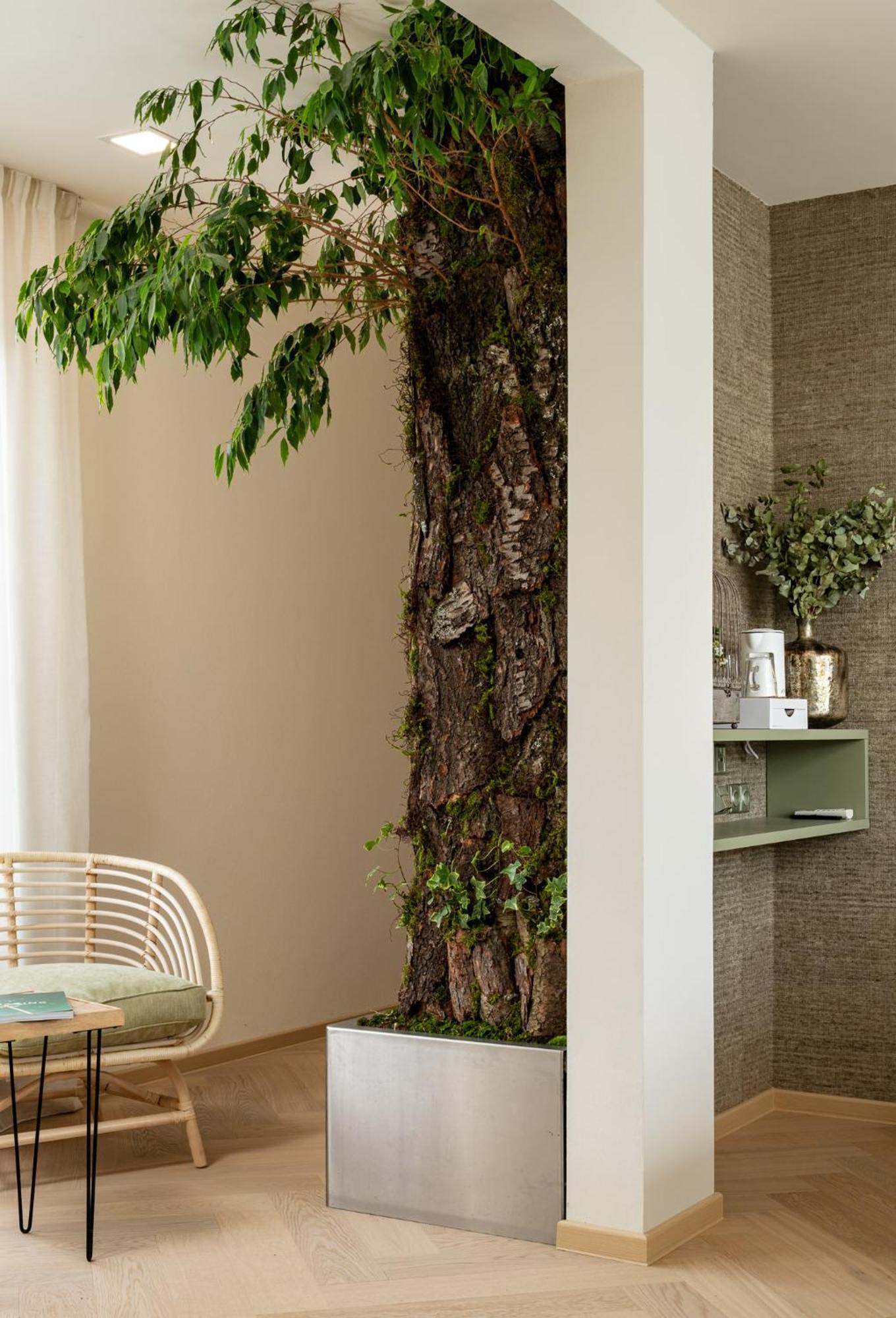 אולומוץ Herbarium Boutique Hotel מראה חיצוני תמונה