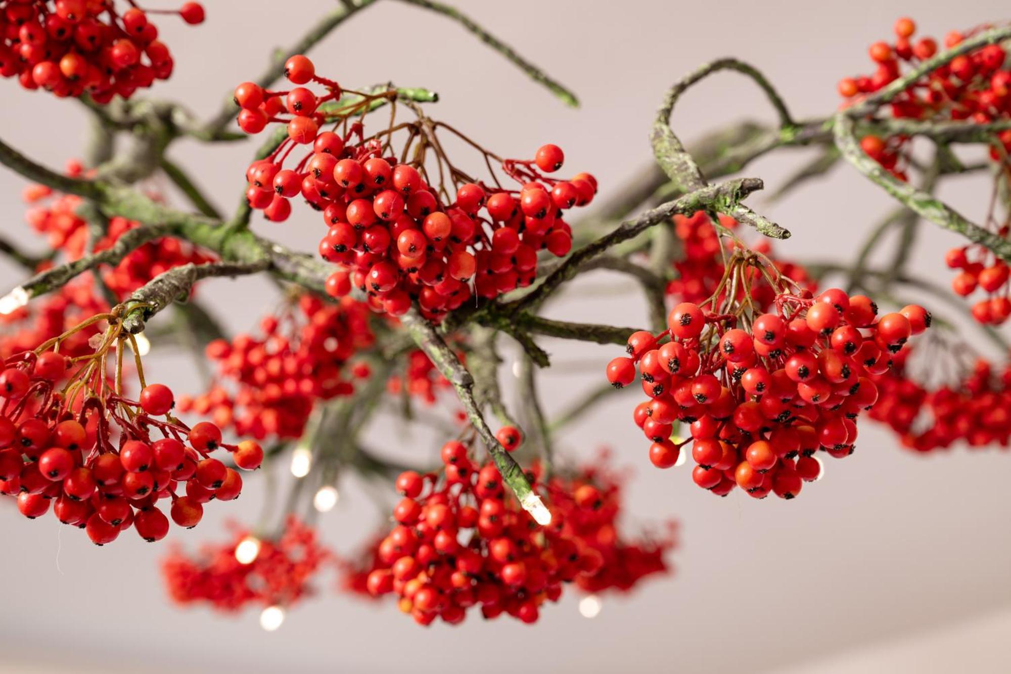 אולומוץ Herbarium Boutique Hotel מראה חיצוני תמונה